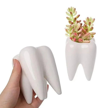 Tooth Pot