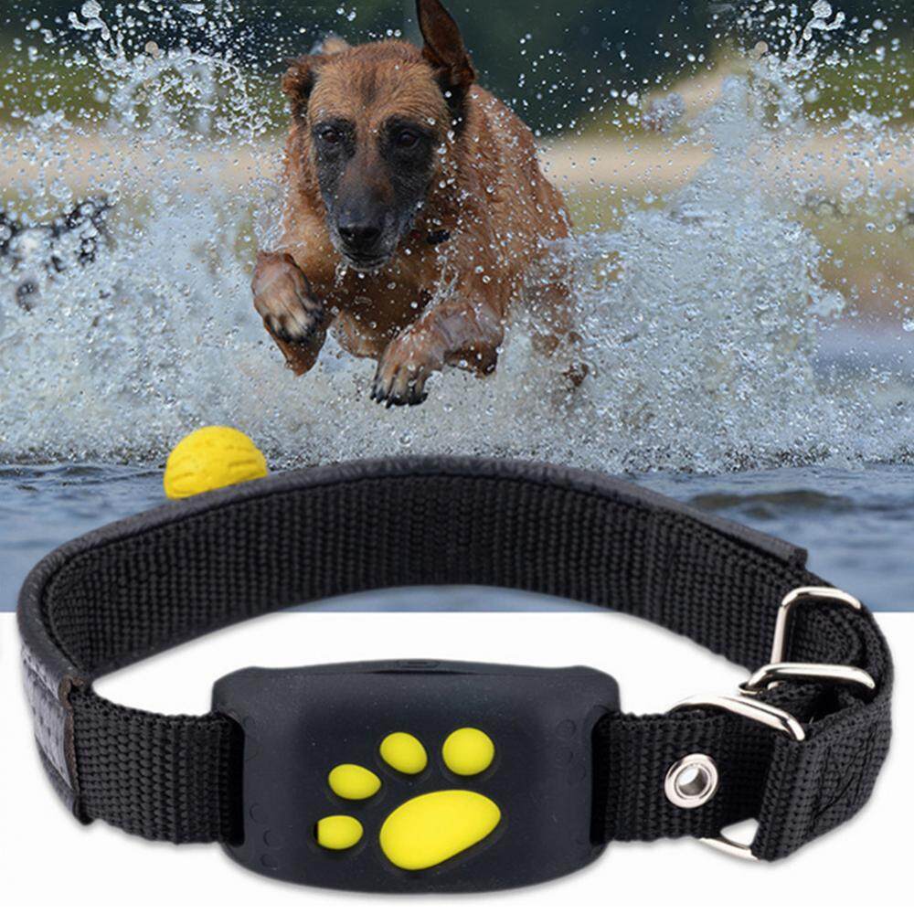 Pet GPS Tracking Collar