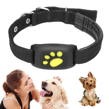 Pet GPS Tracking Collar