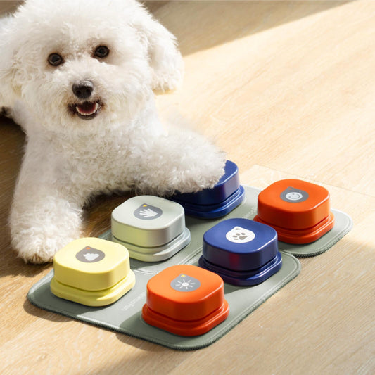 Talking Pet Communication Toy