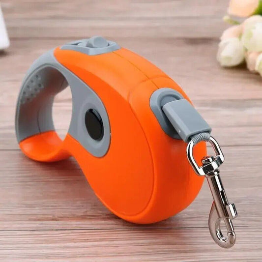 Dog leash orange