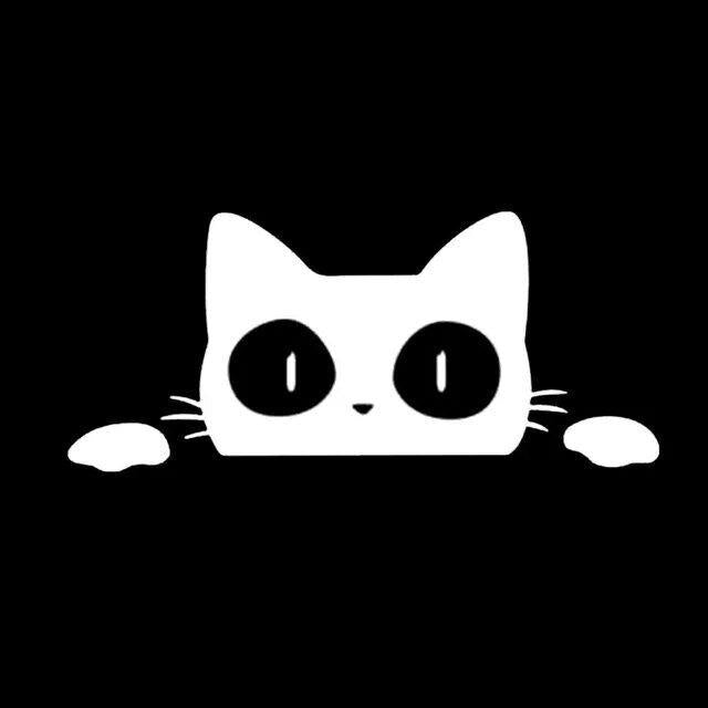 Cat Peeking Sticker-white and black