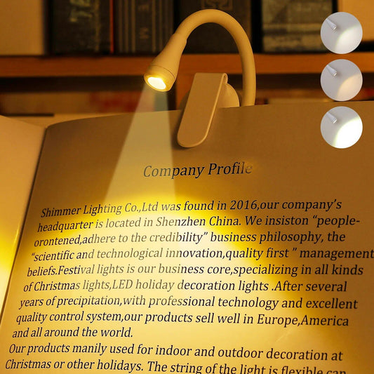 Clip-On Study Desk Lamp